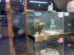 -FAELING PETS美天灵宠物(富力广场店)