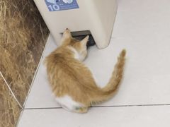 -美联众合24小时·皮肤科·外科·全科诊疗中心(华苑分院)
