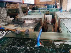 -三亚湾水产综合交易市场