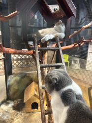 -酷嗒动物文化乐园(cutezoo西溪乐天城店)