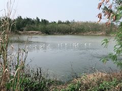 -汕尾风车岛