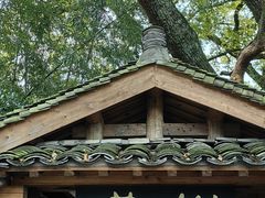 -塔川景区