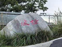 -怪坡茶馆