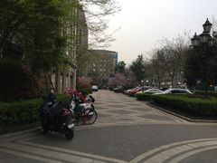 -赛丽绿城丽园-停车场