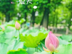 -乌村
