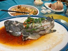 石斑鱼-琼菜王(南海店)