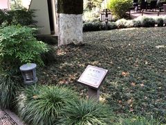 -十八棵（老龙井）御茶园(老龙井店)