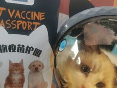 -立德动物医院·重症转诊·24H夜诊·CT·心脏彩超(顺德中心分院)