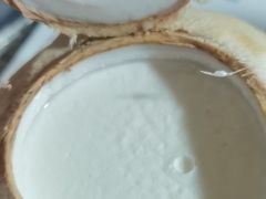 -志龙皇冠吃货椰子铺