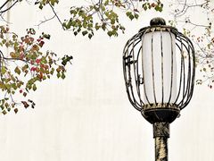 -老门东历史文化街区