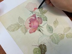 -六出私塾LiuChu•成人美术书法系统课程专业画室(熊婆婆的花园店)