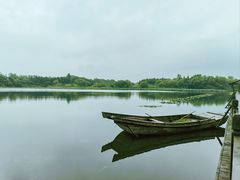 -溱湖国家湿地公园