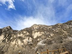 -大岭沟猕猴桃谷风景区