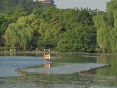 -西湖外事游船(花港观鱼码头)