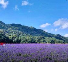 -广州市石门国家森林公园