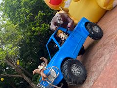 -厦门方特梦幻王国