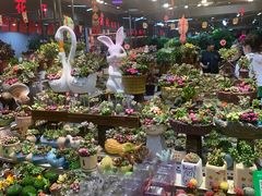 -大自然花鸟鱼虫市场