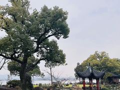 -杭州西湖柳莺里酒店