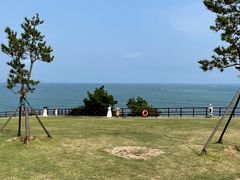 -海合安青岛极地海洋公园