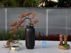 -星巴克(深圳前海企业公馆店)