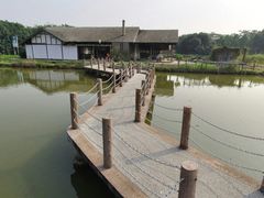 -海上田园