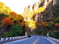 -白草畔自然风景区