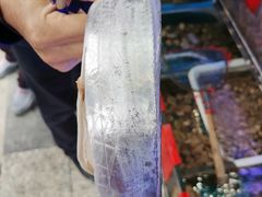 -金海湾海鲜排档(朱家尖店)