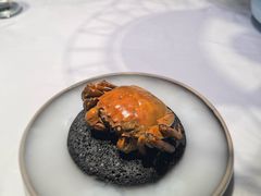 -食悦江南·淮扬菜·烤鸭(亚运村·惠新店)