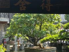 -猪肉婆私房菜(容桂总店)