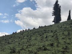 -新疆那拉提国家旅游度假区