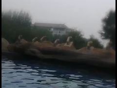 -汤峪温泉碧水湾