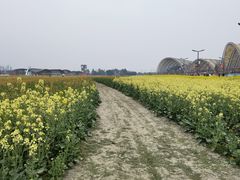 -中国天府农业博览园