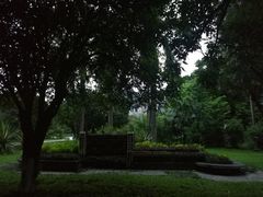 校园-广西大学(大学东路校区)