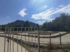 -名花谷生态庄园