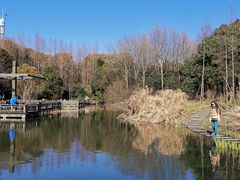 -上海吴淞炮台湾国家湿地公园
