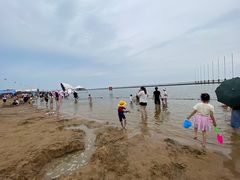 -碧海金沙