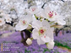 -江苏三台山国家森林公园