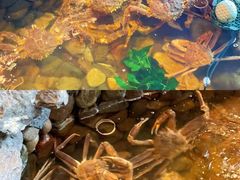 -綱元·海鲜豆捞(明州里店)