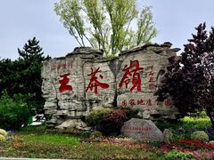 -王莽岭风景区