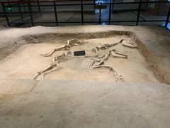 -洛阳周王城天子驾六博物馆