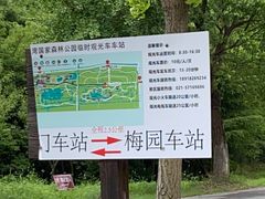 -上海海湾国家森林公园