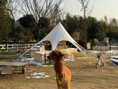 -天目湖涵田度假村