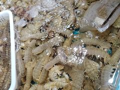 -旺角小渔村·海肠捞饭开创者(二马路店)