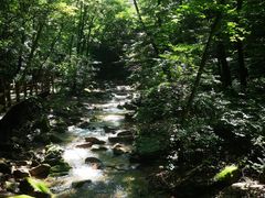 -本溪汤沟绿石谷森林公园