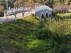 -团城山公园