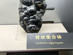 -中国地质博物馆