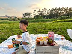 -光明小镇欢乐田园