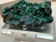 -湖南省地质博物馆