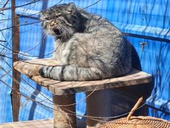 -青藏高原野生动物园