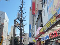 -秋叶原电器街